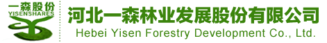 濰坊威爾頓有限公司